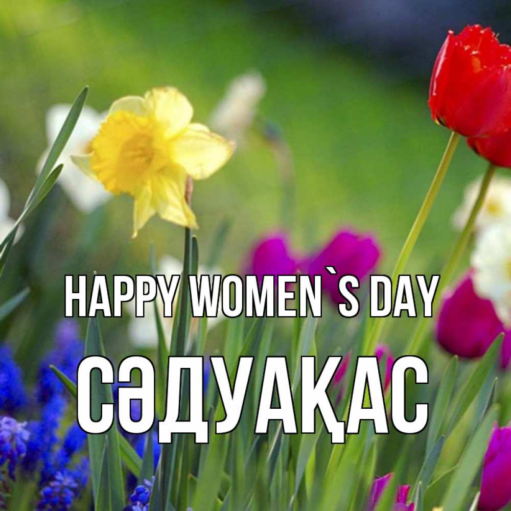 Greetings card с именем, СӘДУАҚАС happy women`s day международный женский день 3 Greetings with text for free download 